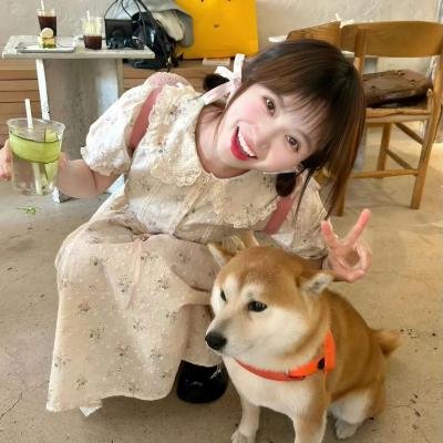 当旺爸爸国语